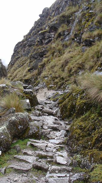 Illampu Trek Steves (70).JPG